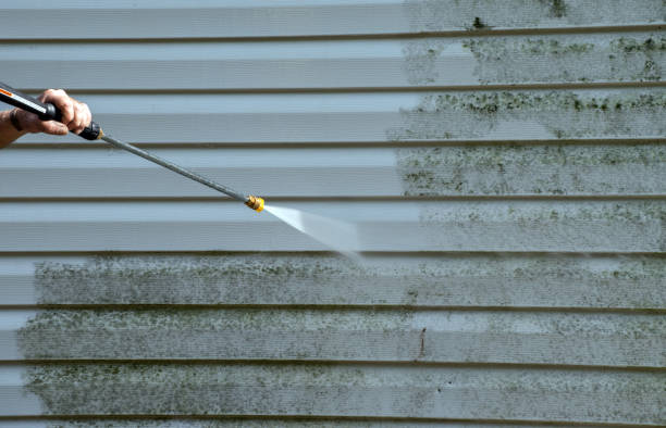 Best Roof Pressure Washing  in North Edwards, CA
